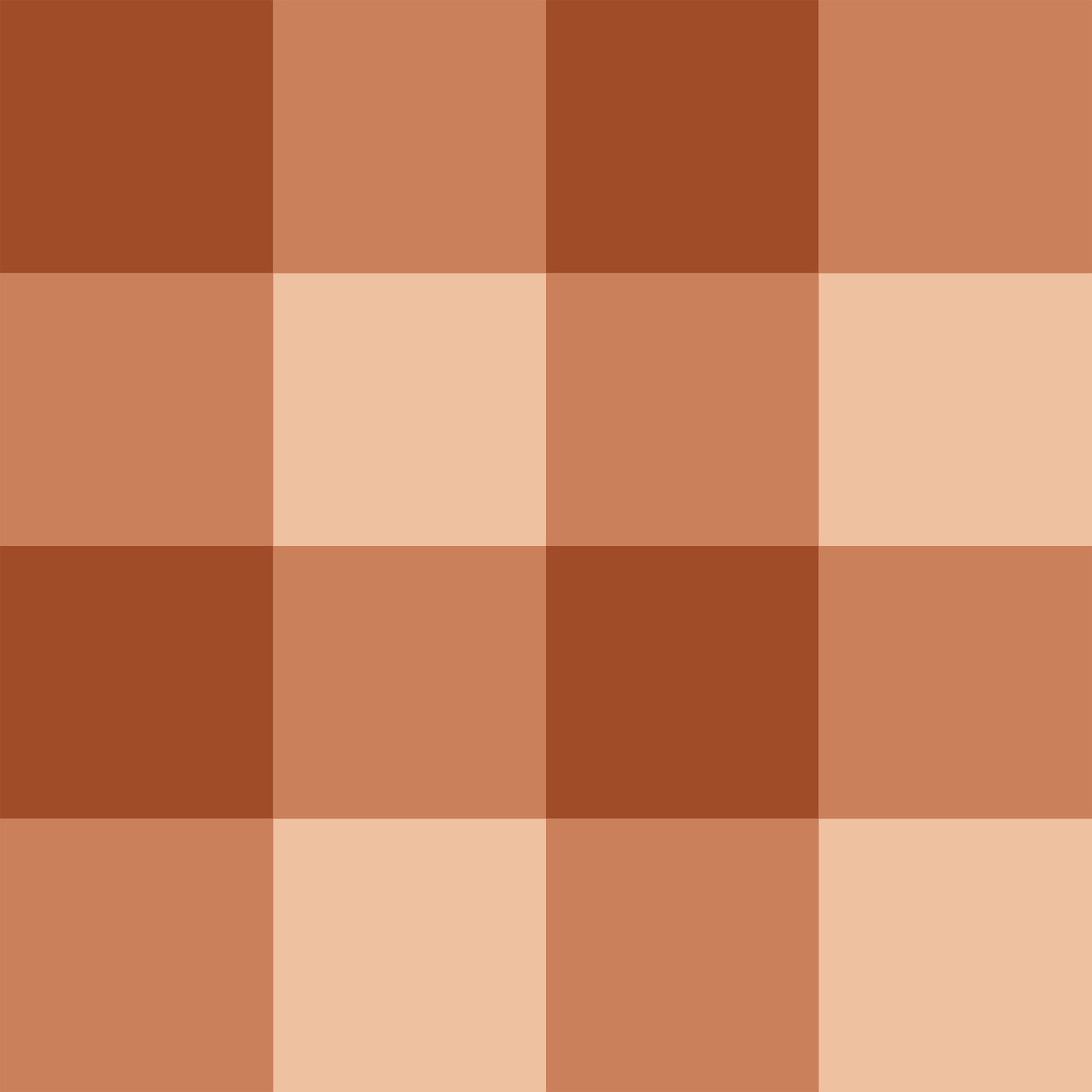 VICHY TERRACOTA